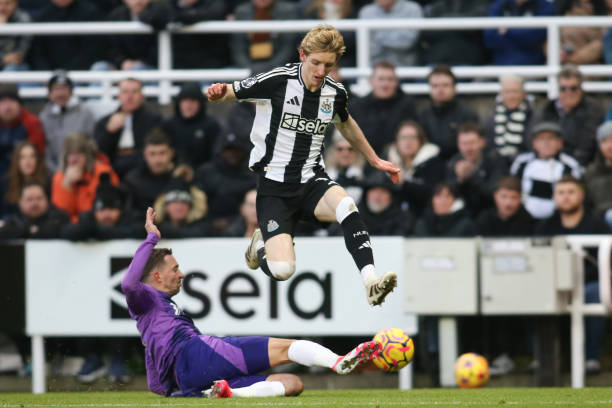 表现也非常 表现也非常