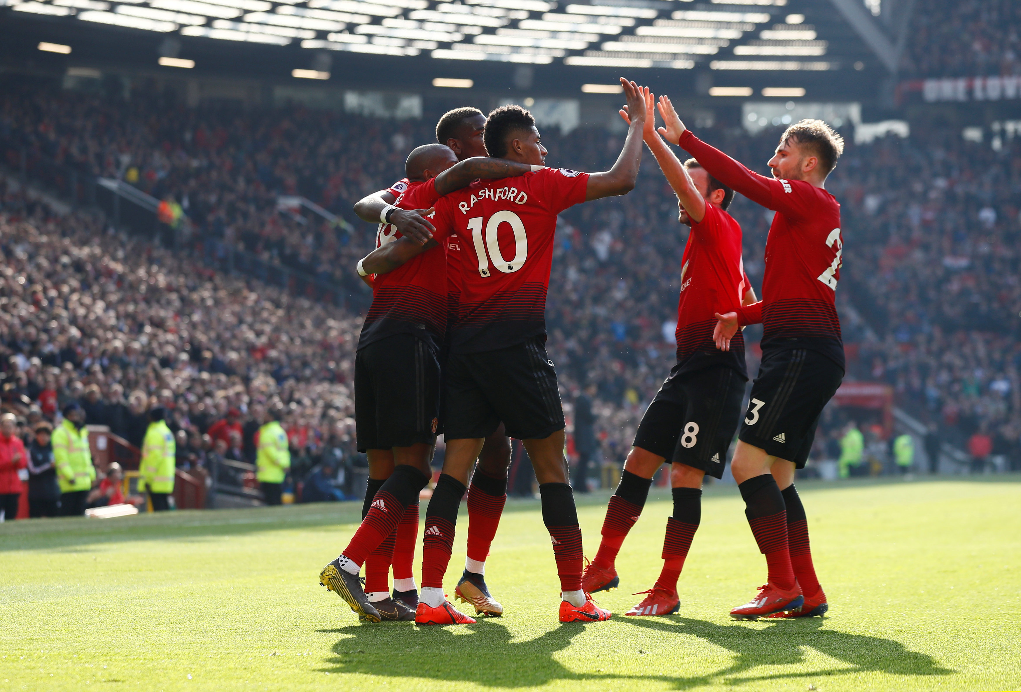 球的进化趋 球的进化趋